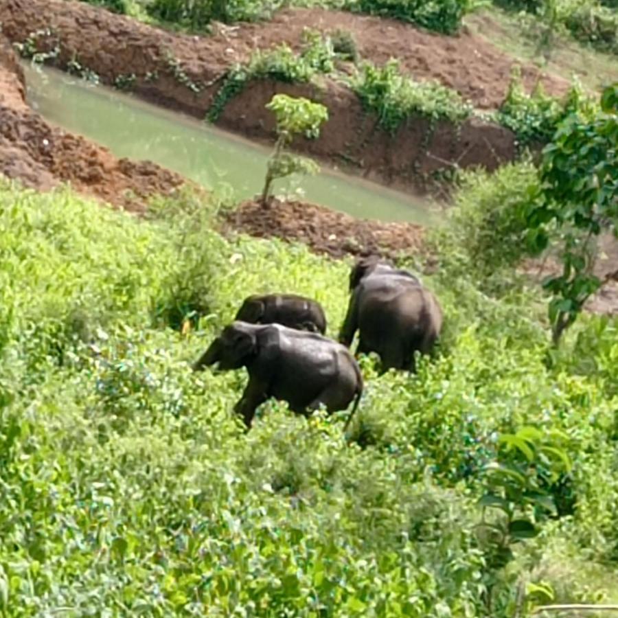 Kuruva Shoreline Wayanad Chegat Luaran gambar