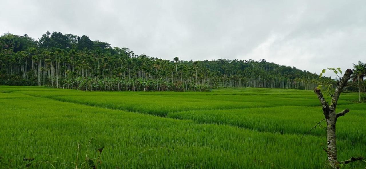 Kuruva Shoreline Wayanad Chegat Luaran gambar