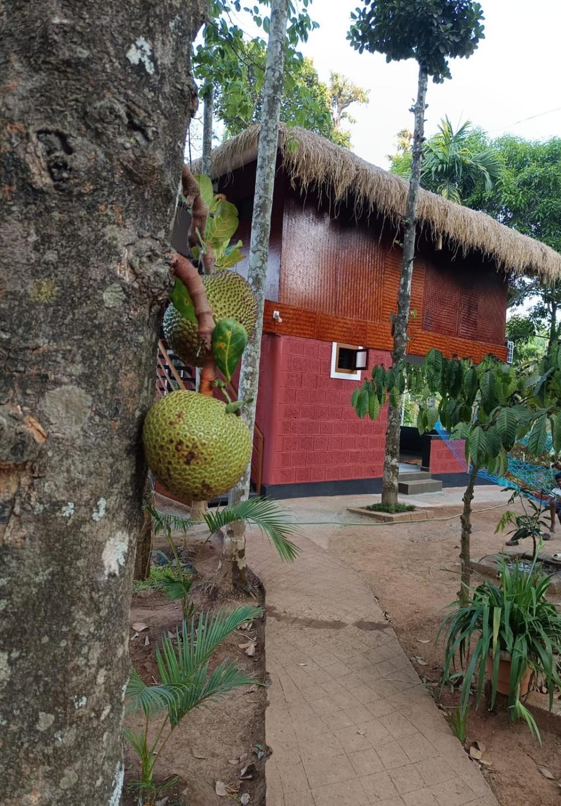 Kuruva Shoreline Wayanad Chegat Luaran gambar